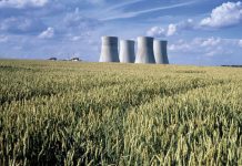 Deux tours de refroidissement nucléaires dans un champ de blé.